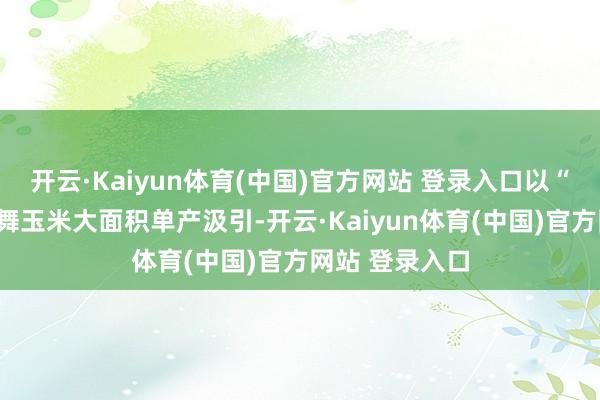 开云·Kaiyun体育(中国)官方网站 登录入口以“五良”和会鼓舞玉米大面积单产汲引-开云·Kaiyun体育(中国)官方网站 登录入口