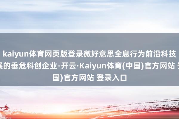 kaiyun体育网页版登录微好意思全息行为前沿科技产业发展的垂危科创企业-开云·Kaiyun体育(中国)官方网站 登录入口