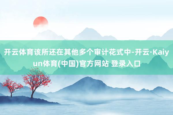 开云体育该所还在其他多个审计花式中-开云·Kaiyun体育(中国)官方网站 登录入口